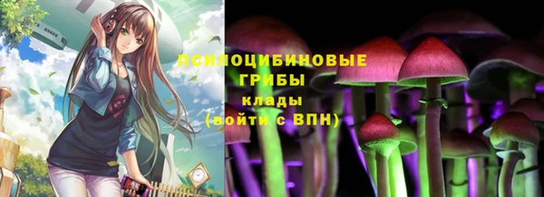 спайс Осташков