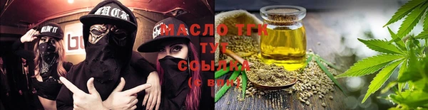 молекула духа Пересвет