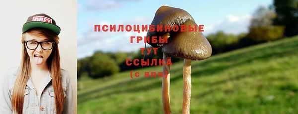 mdma Пестово