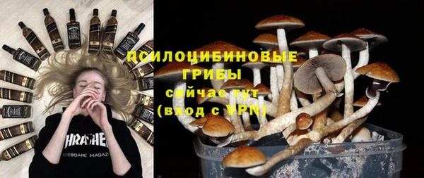 PSILOCYBIN Зерноград