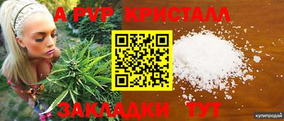spice Будённовск