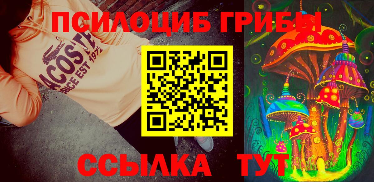 Галлюциногенные грибы прущие грибы Корсаков