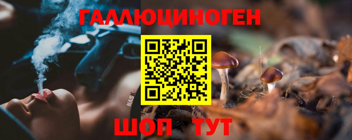 купить наркотики сайты  Вход с VPN  Корсаков  Псилоцибиновые грибы Magic Shrooms 